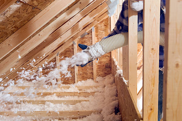 Best Attic Insulation Installation in View Park Windsor Hills, CA