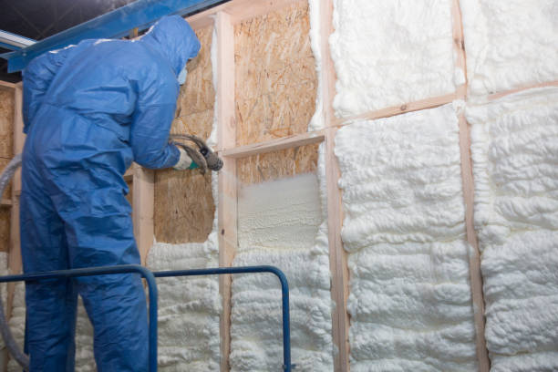 View Park Windsor Hills, CA Insulation Removal & Installation Company